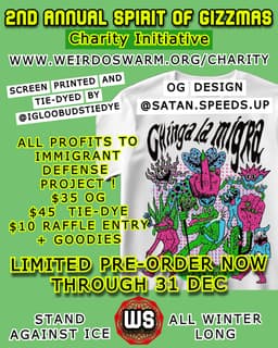 Spirit of Gizzmas Charity Initiative 2025 - Immigrant Defense Project